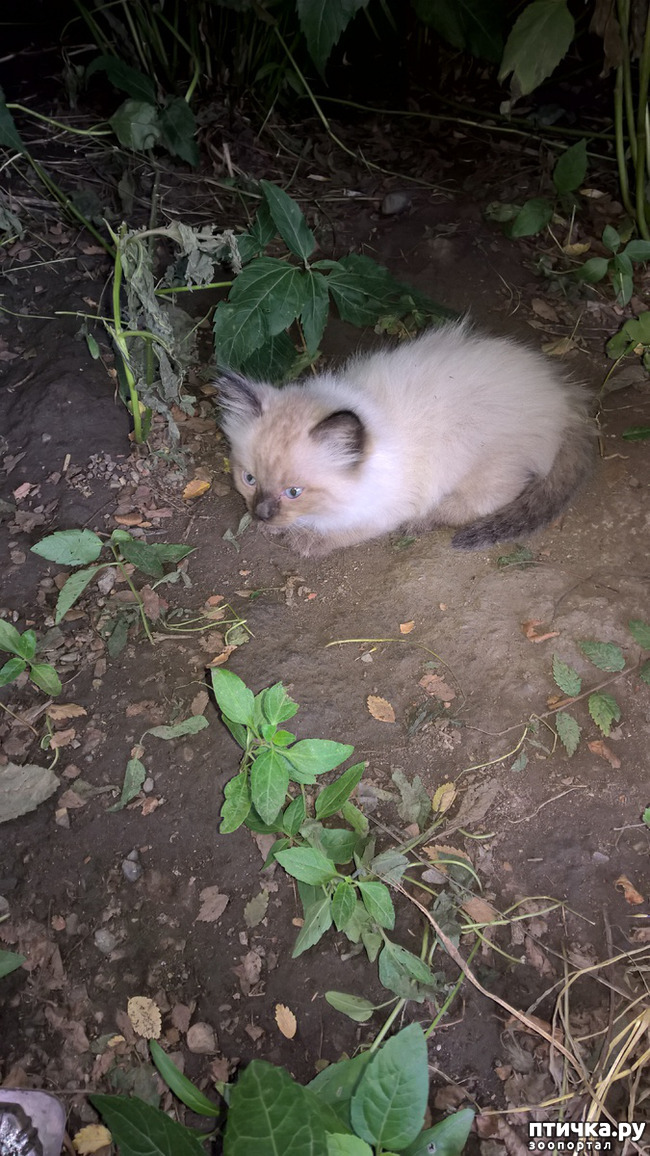 ���� 1: �����