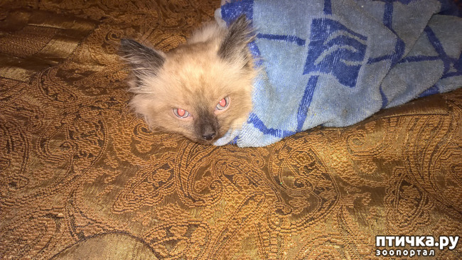 ���� 4: �����