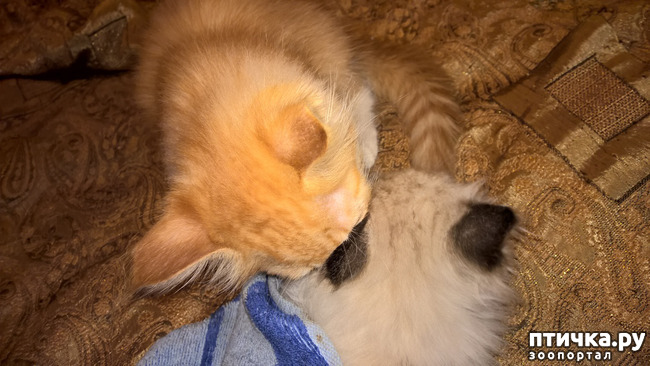 ���� 8: �����