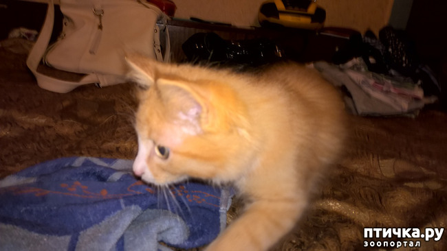 ���� 5: �����