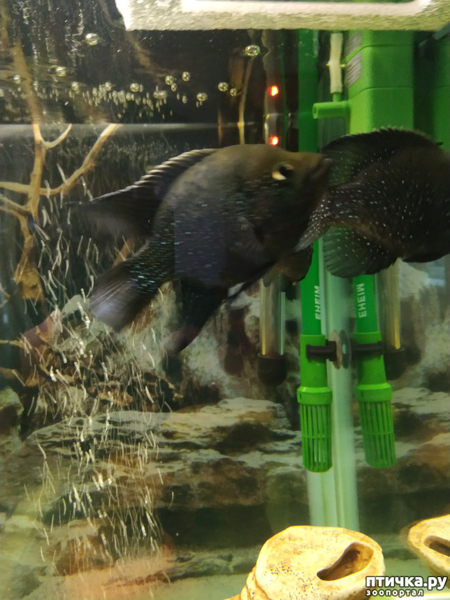 ���� 4: ��������� 2 ��� ����� �� ����� �������