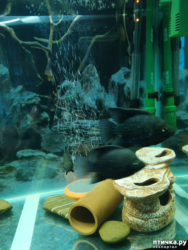 ���� 3: ��������� 2 ��� ����� �� ����� �������