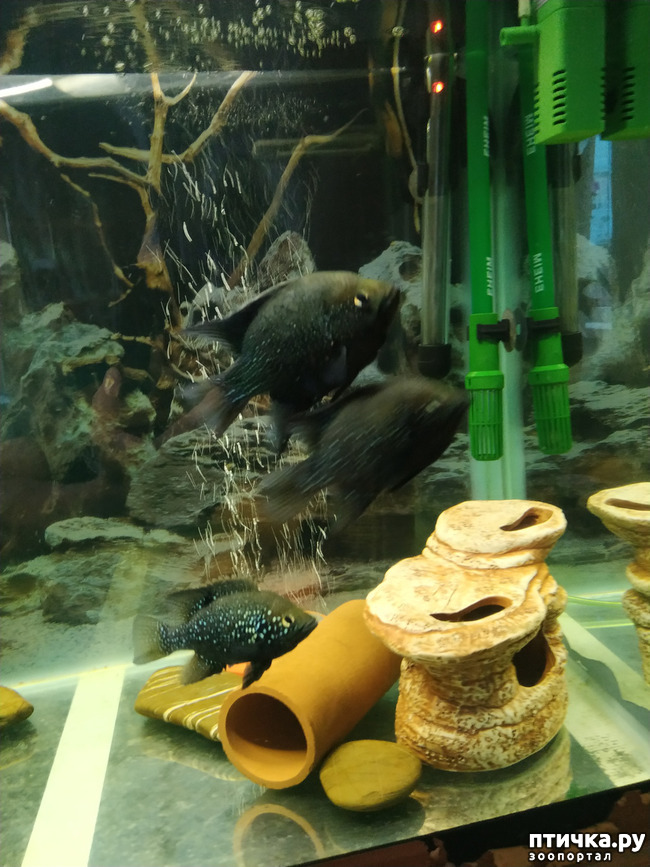 ���� 5: ��������� 2 ��� ����� �� ����� �������