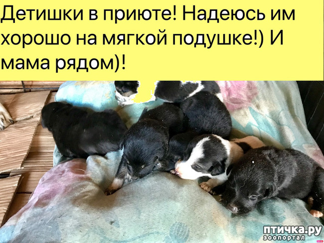 ���� 1: � �������� 18 ������ � 2 �������!