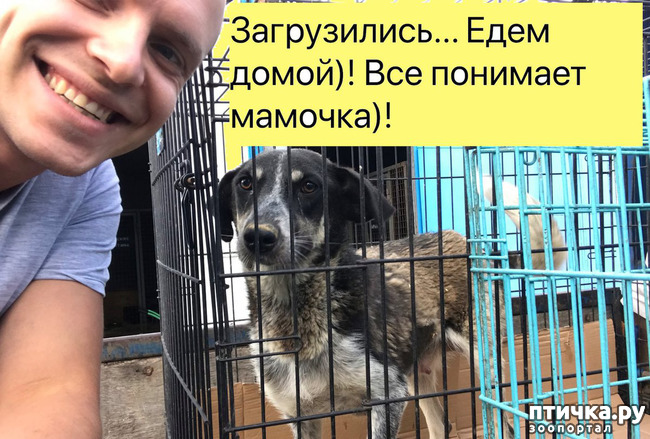 ���� 2: � �������� 18 ������ � 2 �������!