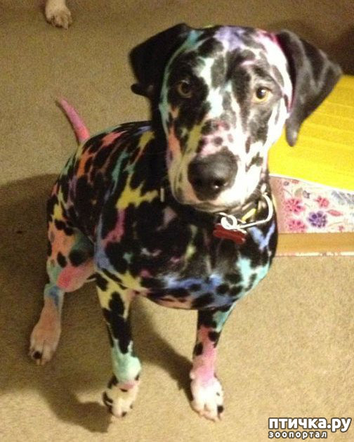 ���� 1: ���� ����. ������������.