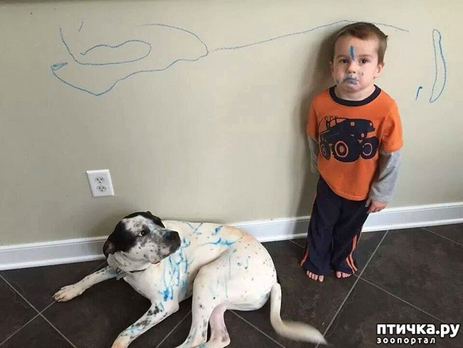 ���� 2: ���� ����. ������������.