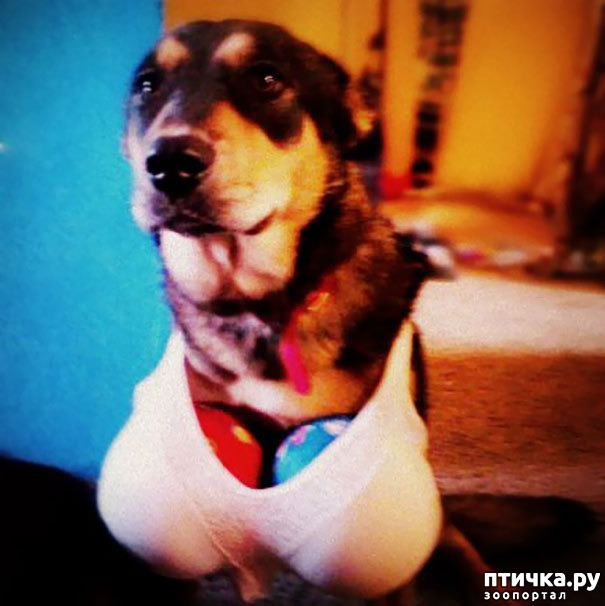 ���� 3: ���� ����. ������������.