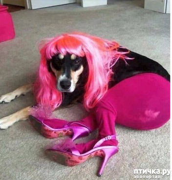 ���� 4: ���� ����. ������������.