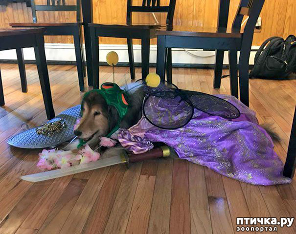 ���� 5: ���� ����. ������������.