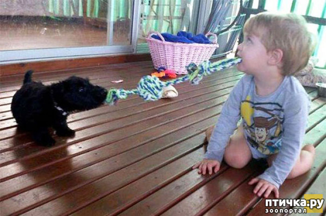 ���� 6: ���� ����. ������������.