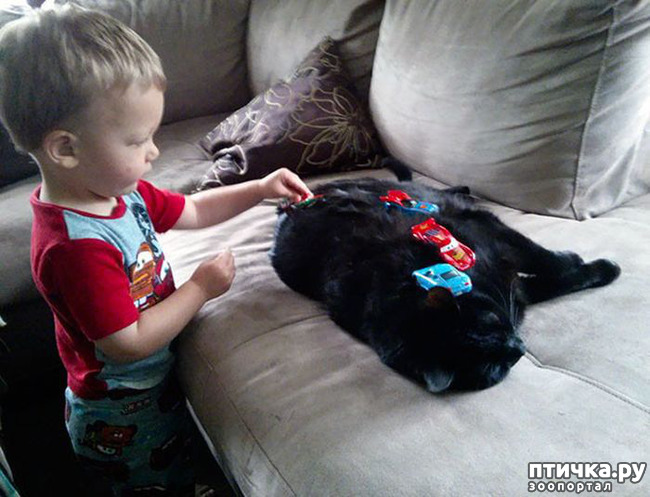 ���� 7: ���� ����. ������������.