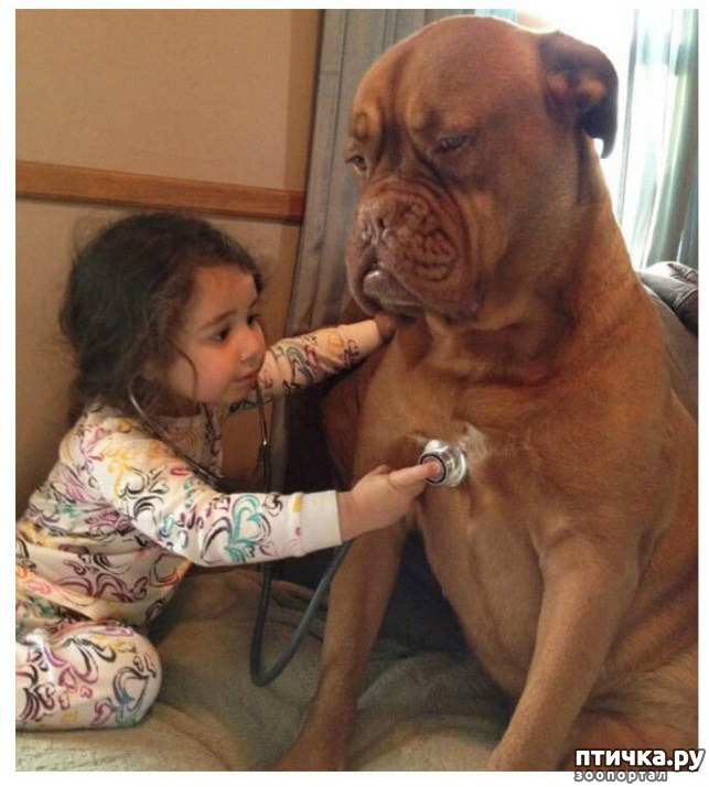 ���� 10: ���� ����. ������������.