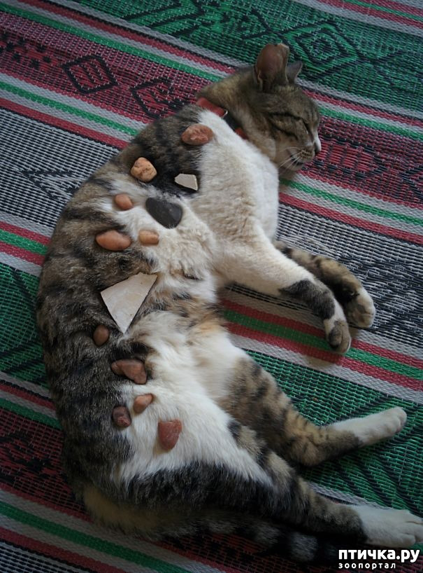 ���� 11: ���� ����. ������������.