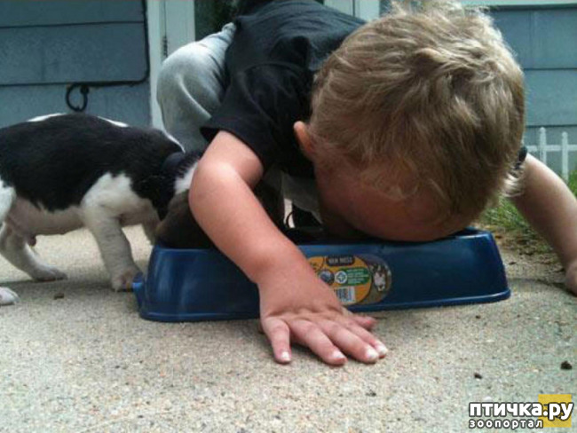 ���� 12: ���� ����. ������������.