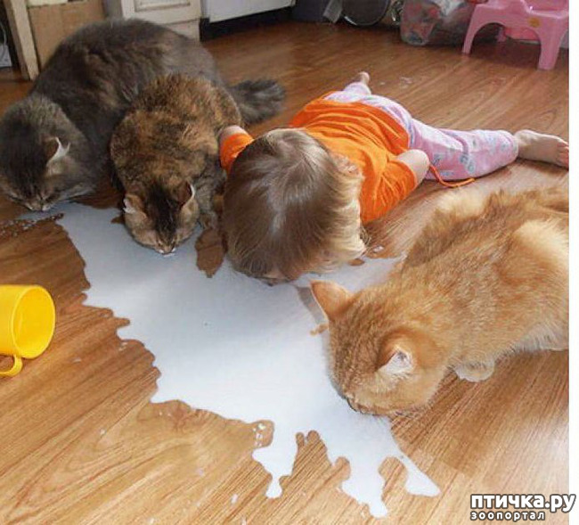 ���� 13: ���� ����. ������������.