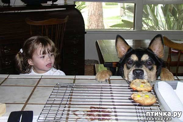 ���� 14: ���� ����. ������������.