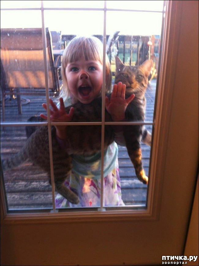 ���� 19: ���� ����. ������������.