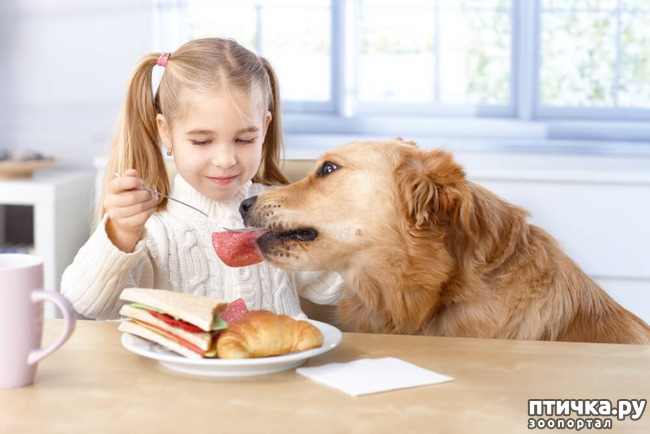 ���� 15: ���� ����. ������������.