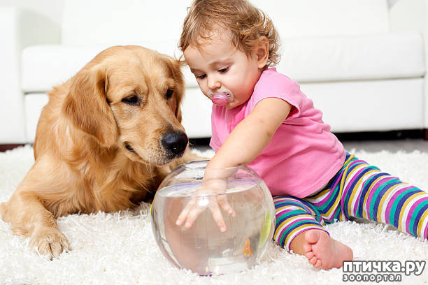 ���� 17: ���� ����. ������������.