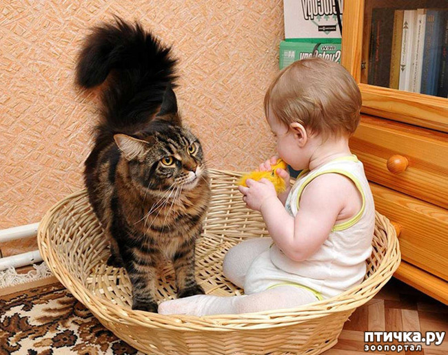 ���� 22: ���� ����. ������������.