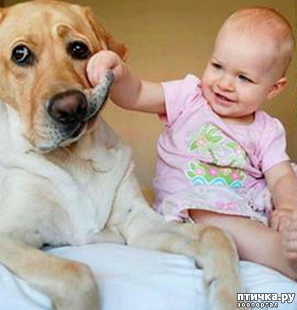 ���� 23: ���� ����. ������������.