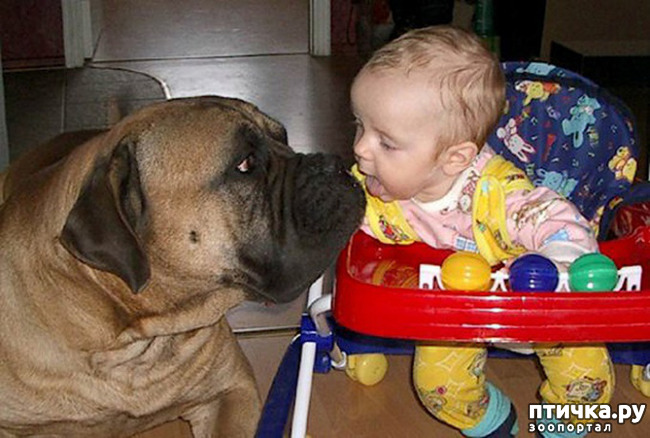 ���� 24: ���� ����. ������������.