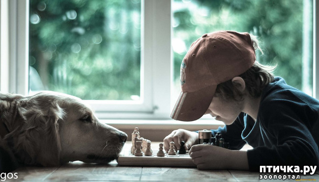 ���� 25: ���� ����. ������������.