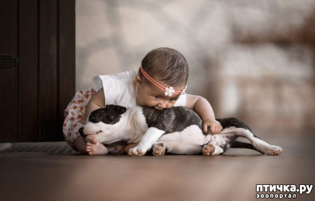 ���� 26: ���� ����. ������������.