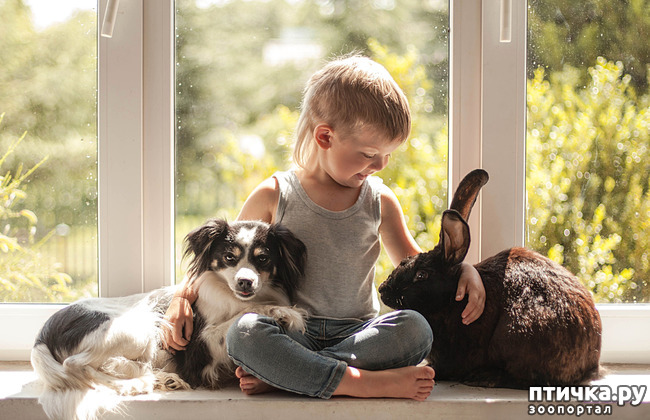 ���� 27: ���� ����. ������������.