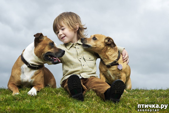 ���� 28: ���� ����. ������������.