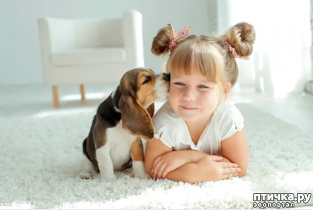 ���� 29: ���� ����. ������������.