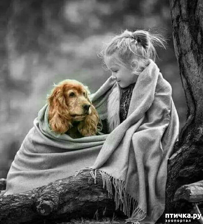 ���� 30: ���� ����. ������������.