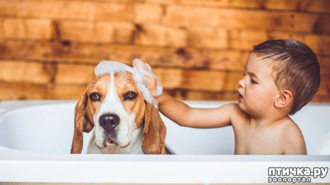 ���� 20: ���� ����. ������������.