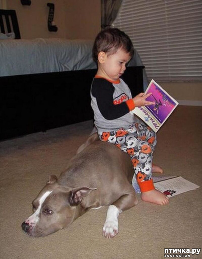 ���� 18: ���� ����. ������������.