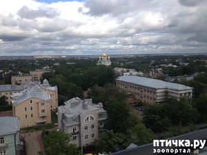 ����: ���� ��� ������� �����...