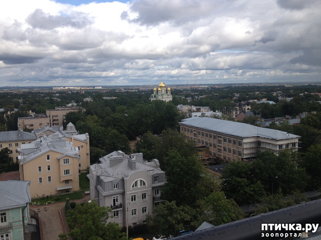 ���� 1: ���� ��� ������� �����...