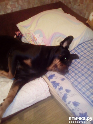 ����: ���� ���� � ����