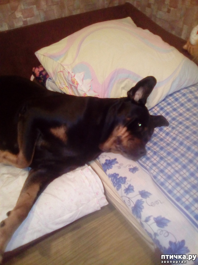 ���� 1: ���� ���� � ����