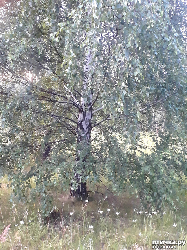 ���� 15: ��� � ���� � ������ ���� �����