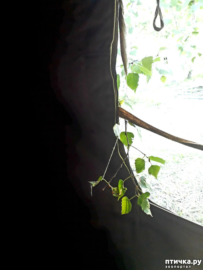 ���� 16: ��� � ���� � ������ ���� �����