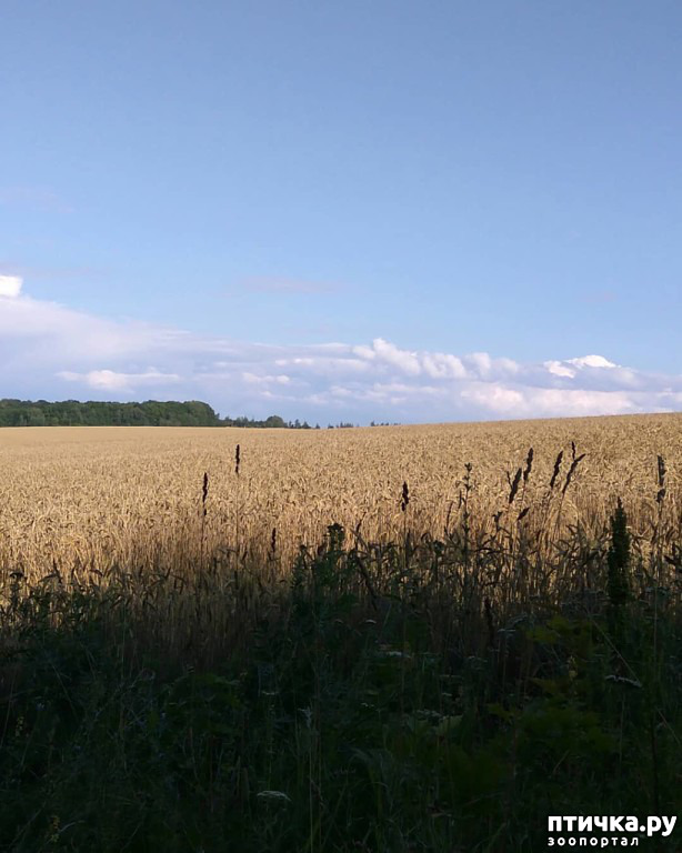 ���� 17: ��� � ���� � ������ ���� �����