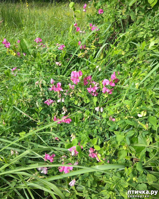 ���� 18: ��� � ���� � ������ ���� �����