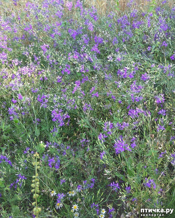 ���� 19: ��� � ���� � ������ ���� �����