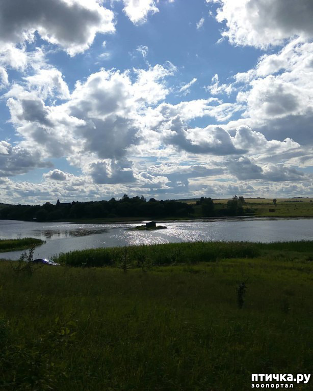 ���� 20: ��� � ���� � ������ ���� �����