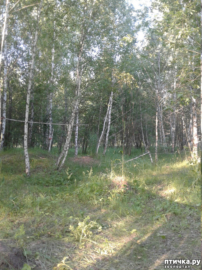 ���� 21: ��� � ���� � ������ ���� �����