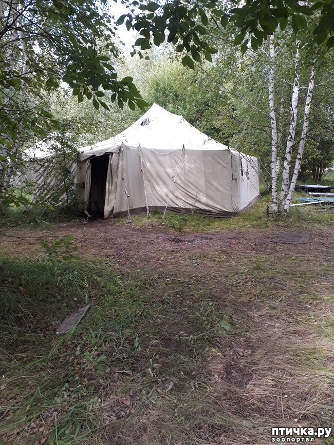 ���� 22: ��� � ���� � ������ ���� �����