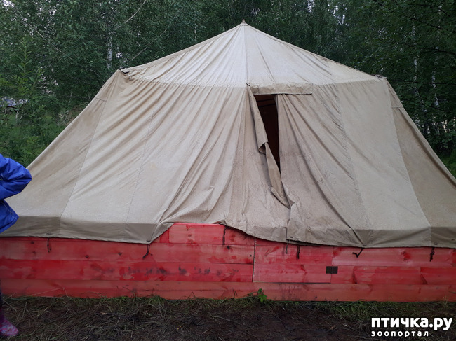 ���� 23: ��� � ���� � ������ ���� �����