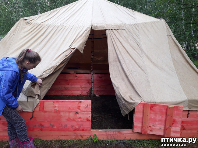 ���� 24: ��� � ���� � ������ ���� �����