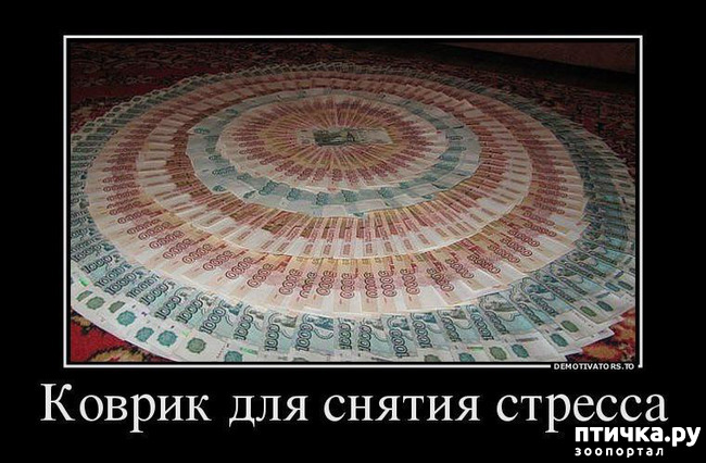 ���� 1: ����������)))